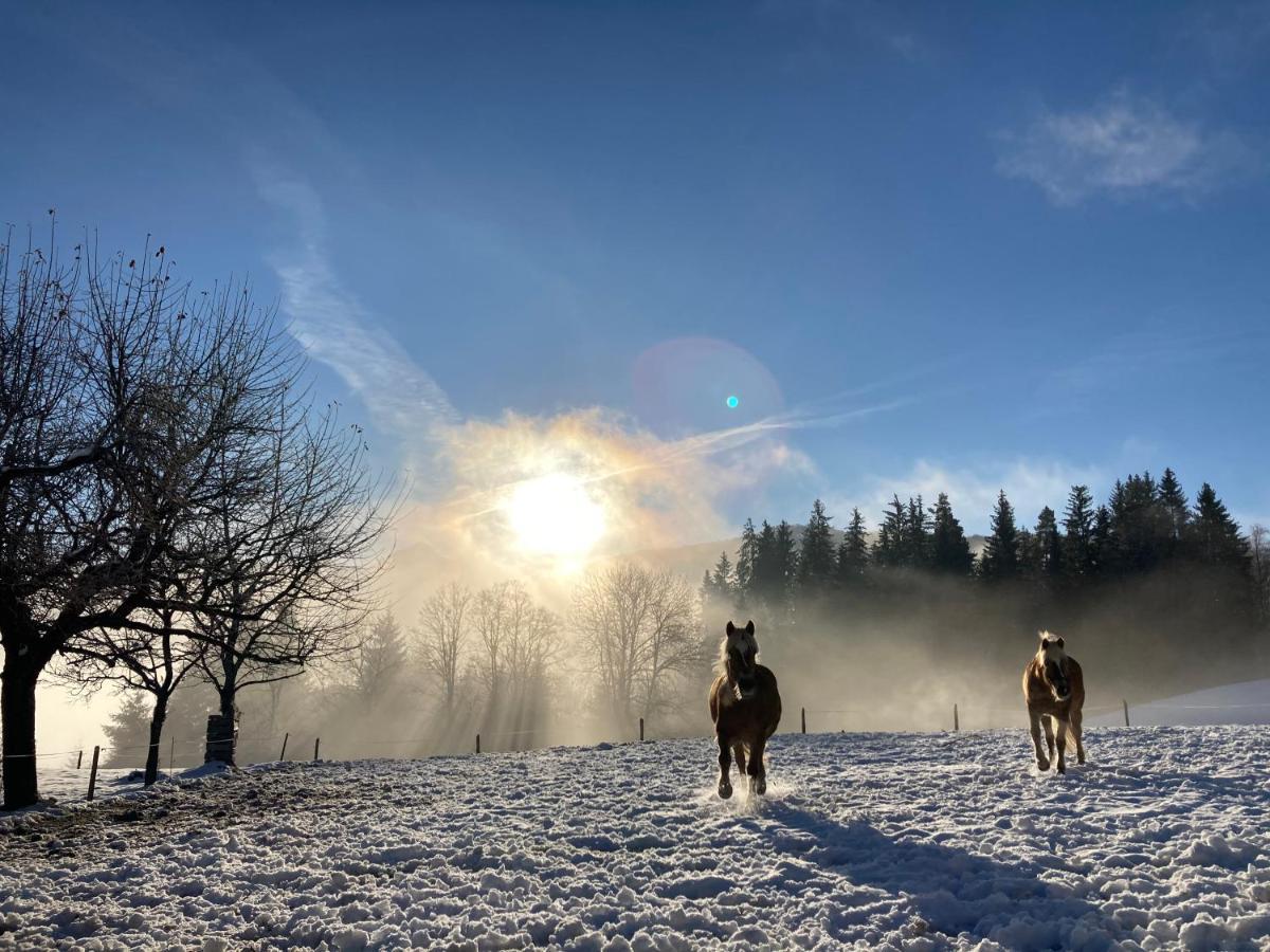 Willa Haslehnerhof Ramsau am Dachstein Zewnętrze zdjęcie