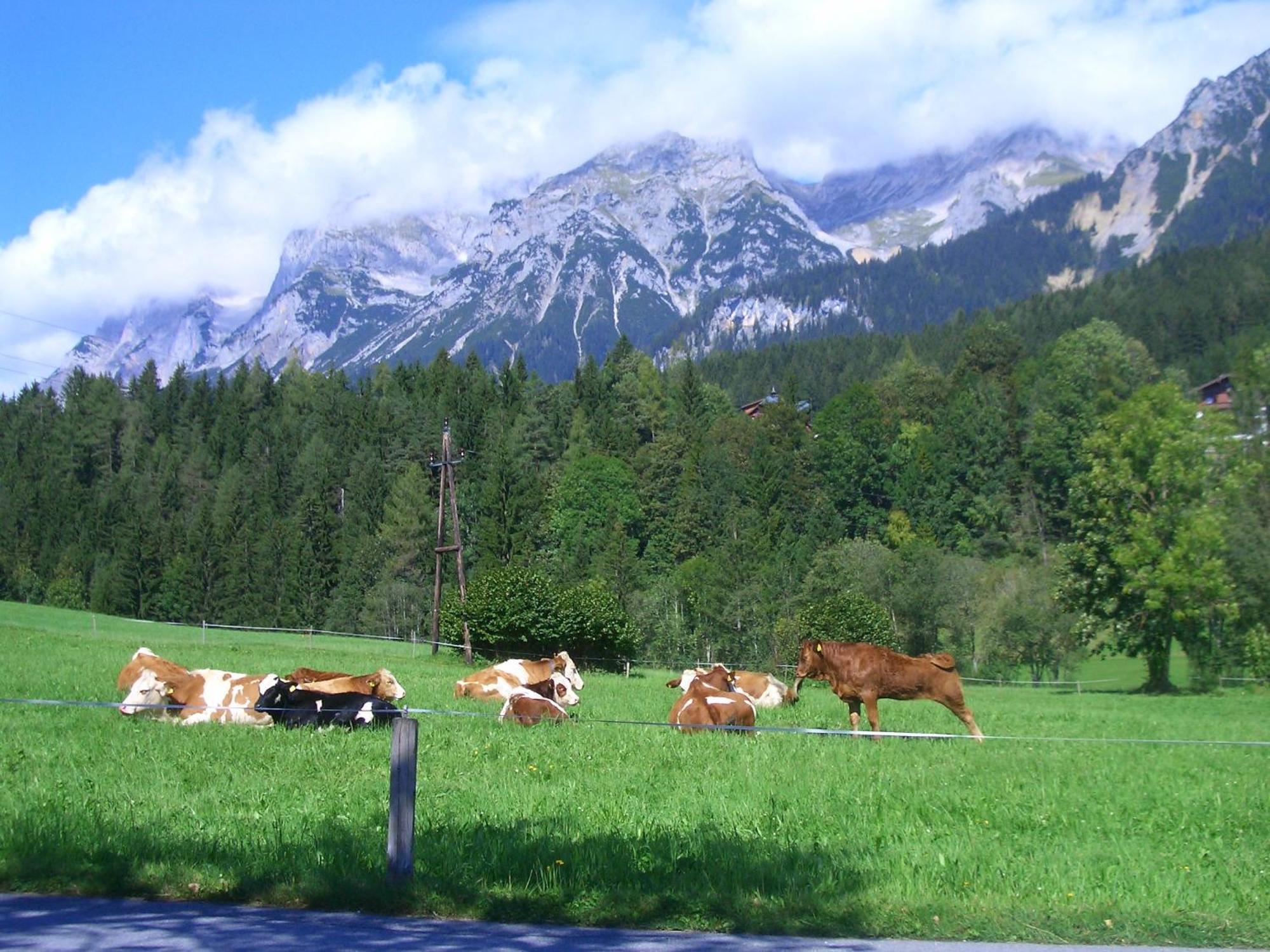 Willa Haslehnerhof Ramsau am Dachstein Zewnętrze zdjęcie